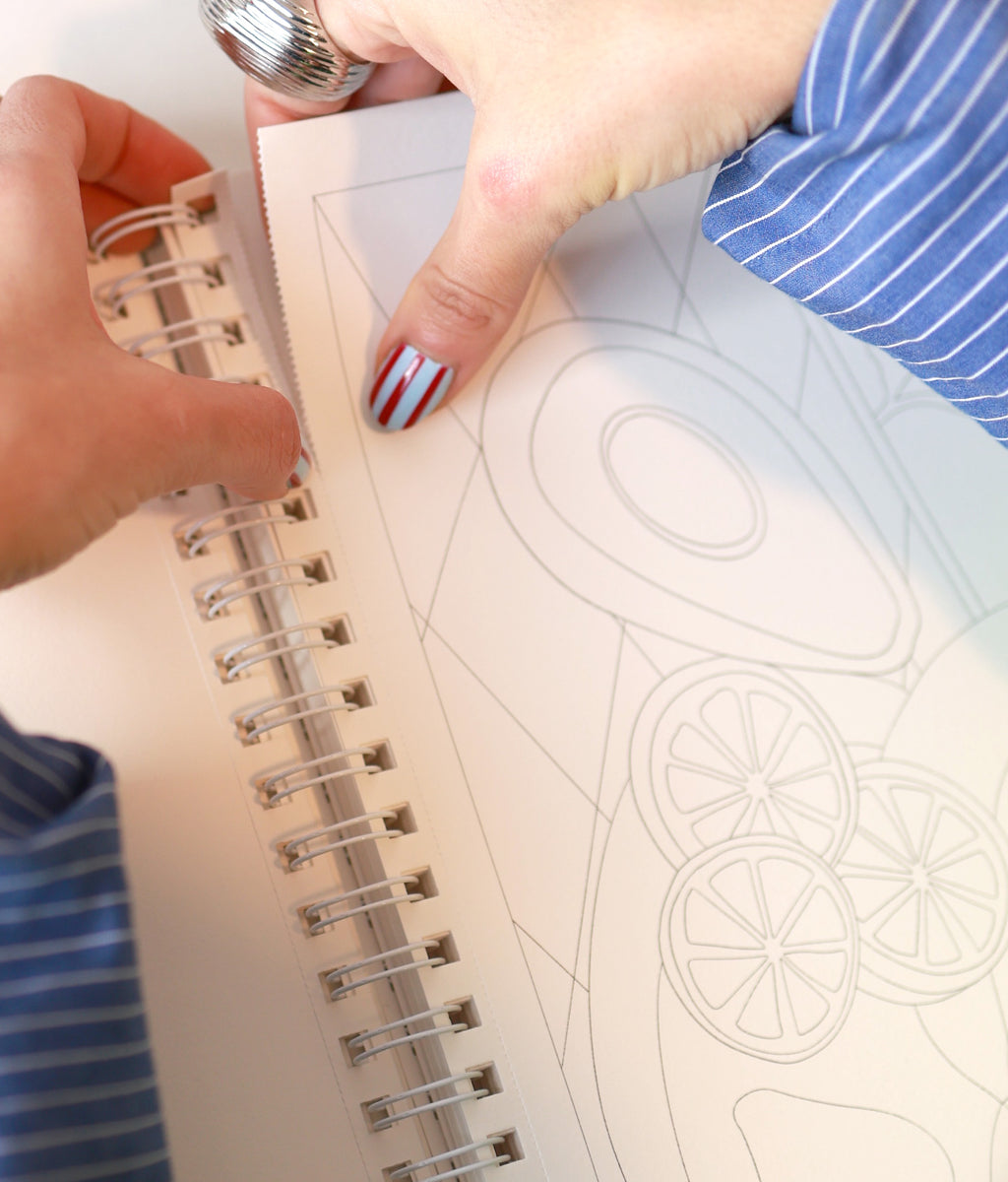 Livro - Bringing More Color To The World