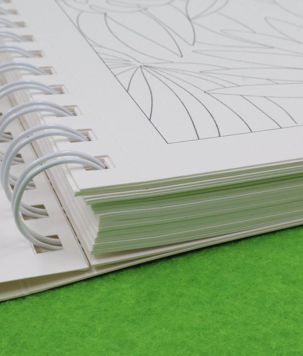 Livro - Bringing More Color To The World
